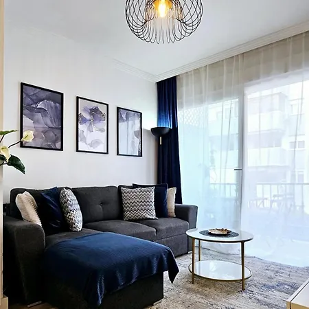 Hdfm Collection Centro Miramar